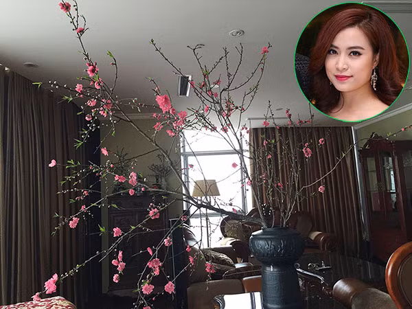 Ít khi chia sẻ về căn hộ đang sinh sống, song qua một vài hình ảnh có thể thấy Hoàng Thùy Linh có cuộc sống khá tiện nghi, đầy đủ.