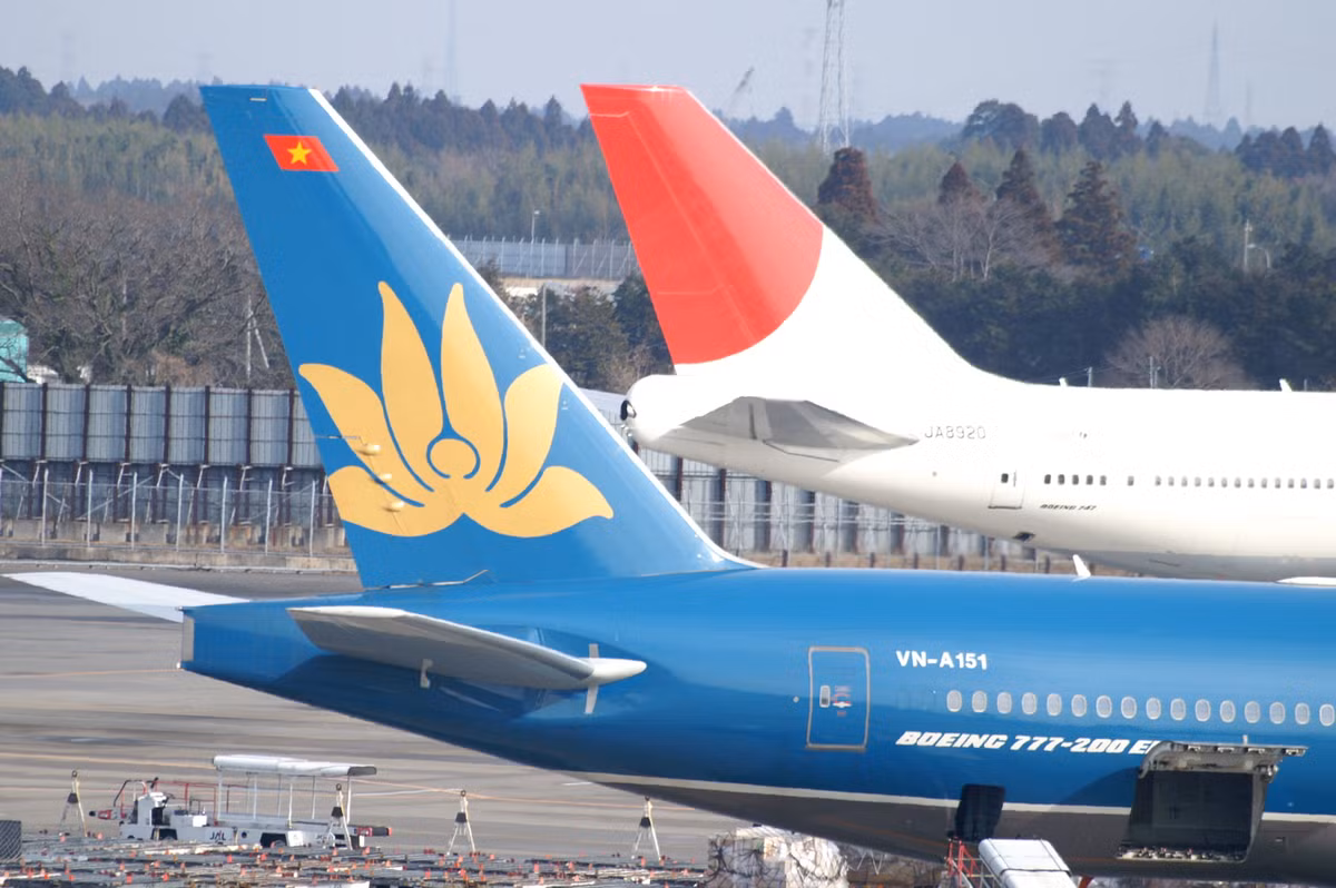 Logo hoa sen cua Vietnam Airlines thay doi nhu the nao-Hinh-6