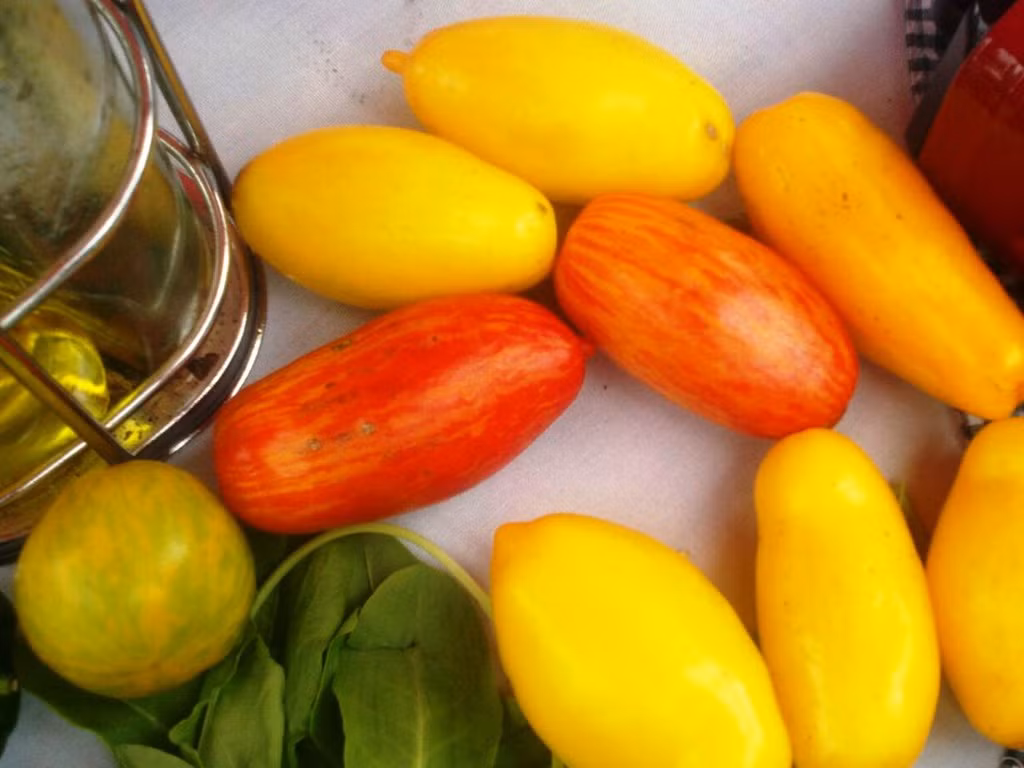 Hình ảnh bắt mắt của trái cà chua "đẻ ra tiền" ở nhiều nước trên thế giới.