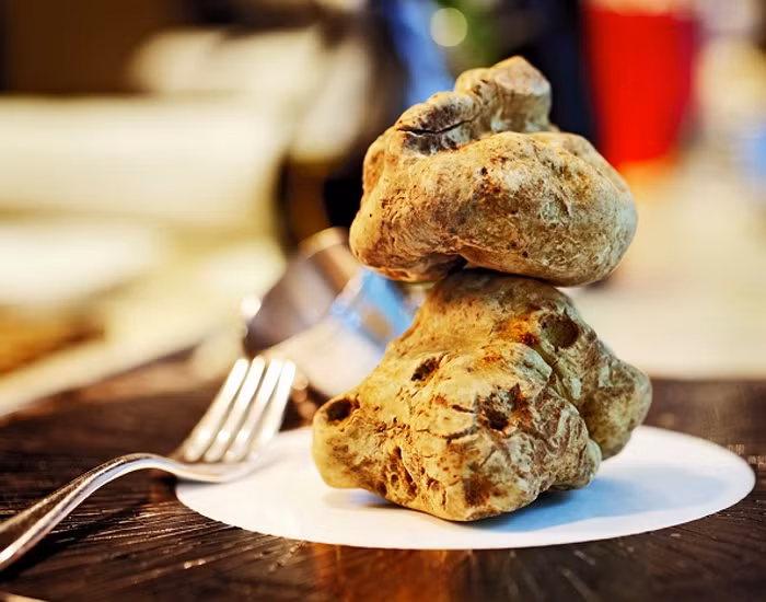 Ngoài ra, sự đắt đỏ của chúng còn vì loại nấm này rất khan hiếm, chỉ mọc ở một số vùng của nước Pháp và Ý. Giá bán "bèo" nhất của loại nấm này cũng lên tới 6.000 - 10.000 USD/hơn 450g (khoảng 130 -200 triệu đồng).