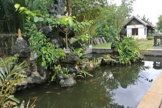 Bên ngoài khu biệt thự, toàn bộ cảnh quan sân vườn đều được thiết kế hài hòa, với cây xanh, tiểu cảnh đẹp mắt.