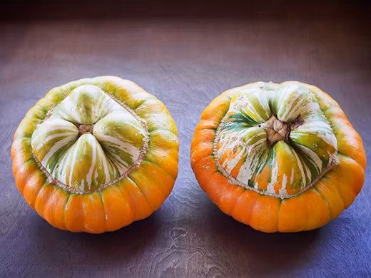 Đất trồng và nơi trồng bí nên có ánh sáng mặt trời để cây sinh trưởng tốt, không nên gieo hạt ở nơi đất lạnh hay ngập úng.