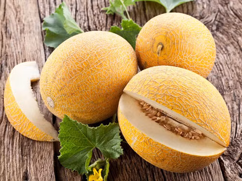 Dưa vàng có mùi thơm là dấu hiệu tốt nhất để nhận biết quả dưa đã chín.