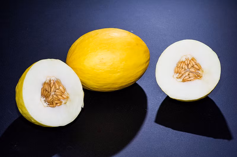 Trên thị trường còn có giống dưa vàng hoàng yến (Canary melon). Đây là loại dưa lớn, vỏ màu vàng nhạt, mịn và mềm hơn dưa lưới nên dễ phân biệt. Thịt quả màu xanh nhạt đến trắng, có vị như dưa lưới. Khi chín, thịt quả khá xốp.