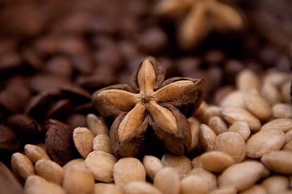 Hạt của loại cây đang gây "sốt" này cho loại dầu có dinh dưỡng cực cao, do đó, sachi được mệnh danh là " vua của các loại hạt".