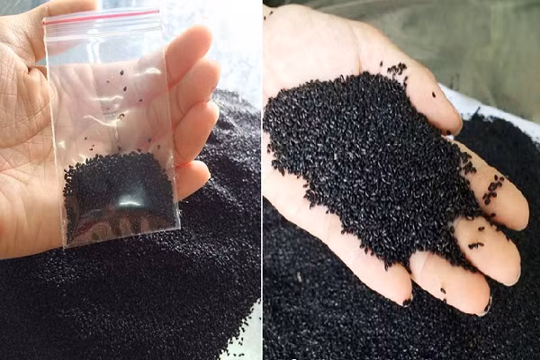 Trên thị trường, hạt giống cỏ này được rao bán với giá 19.000 - 25.000 đồng/gói (30 - 50 hạt), đủ gieo một chậu cỏ may mắn có đường kính 15-20 cm.