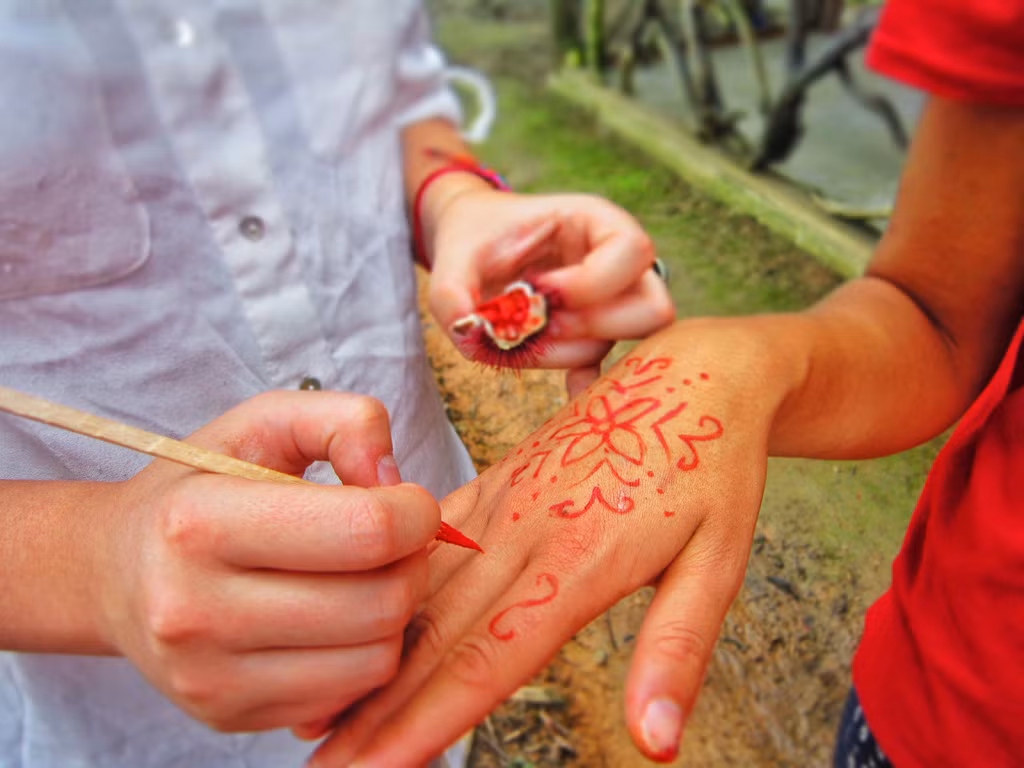 Không lĩnh vực thực phẩm mà mỹ phẩm và dược phẩm ở một số nước như Hoa Kỳ, Brazil cũng chiết rút sắc tố Bixin trong hạt cà ri để tạo màu an toàn cho sản phẩm.