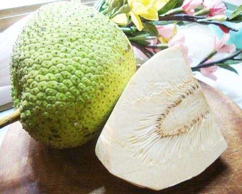 Trên thị trường, quả sa kê (hay còn gọi xa kê) - một loại đặc sản miền Tây đang khiến dân văn phòng tò mò tìm mua. Sa kê có giá bán khá "mềm", dao động từ 25.000 - 55.000 đồng (quả 0,5 -1kg).