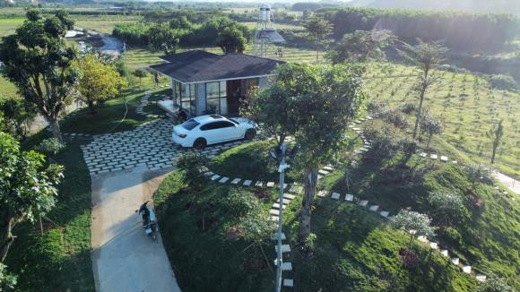 Dần dần, cặp vợ chồng đã lên ý tưởng xây dựng một ngôi nhà vườn trên đồi, bao quanh là các loại hoa, cây ăn quả.