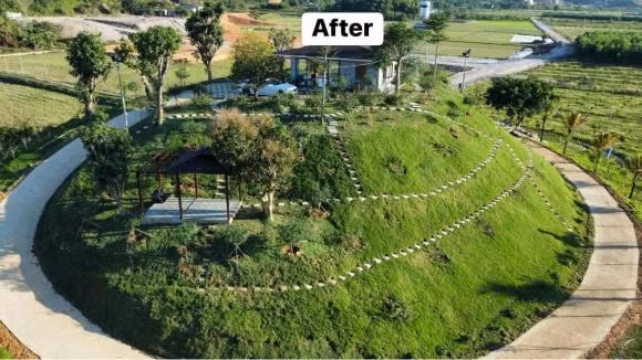 Cặp vợ chồng xây ngôi nhà trên đồi.