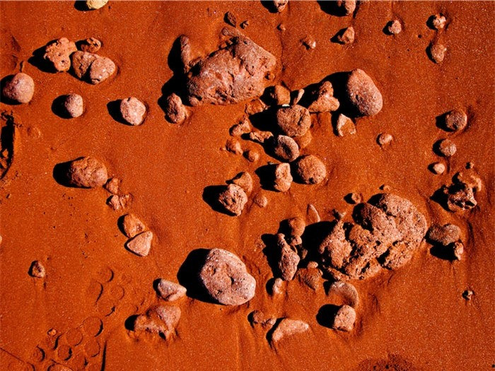  Bãi biển cát đỏ, Rábida, Quần đảo Galápagos: Bạn có thể nhầm Bãi biển cát đỏ, nằm trên đảo Rábida của quần đảo Galápagos là bề mặt sao Hỏa. Màu gỉ sét này xuất phát từ nồng độ sắt cao trong vật liệu núi lửa của hòn đảo. Mặc dù con người không sống ở đây, nhưng Rábida là nơi sinh sống của một loạt các động vật hoang dã đa dạng, từ rùa biển Galápagos nổi tiếng đến sư tử biển và cá đuối.