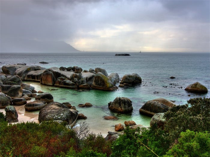  Bãi biển Boulders, Nam Phi: Bãi biển Boulders của Cape Town, nằm gần Núi Bàn được biết đến là nơi sinh sống của loài chim cánh cụt.