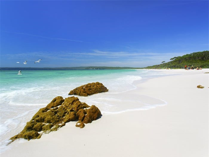  Bãi biển Hyams, New South Wales, Úc: Mất khoảng 3 giờ đi từ Sydney, du khách sẽ đến Hyams Beach nằm trên bờ vịnh Janner của Úc, nơi tự hào có bãi cát màu sáng nhất trên hành tinh. Trên thực tế, kỷ lục Guinness đã ghi nhận bãi cát của Hyams có màu trắng nhất thế giới.