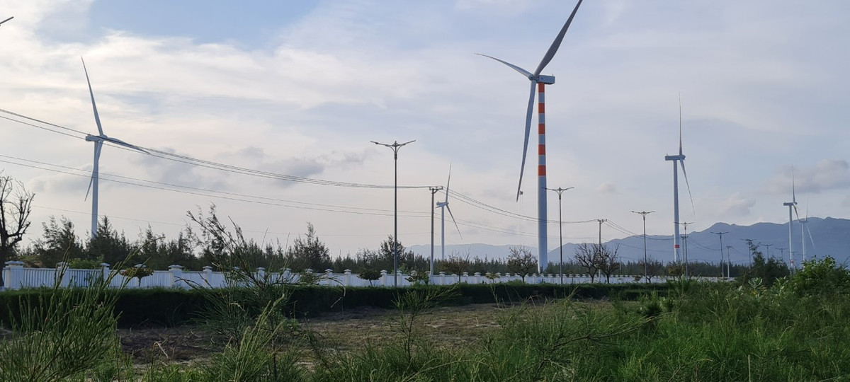 Khung cảnh hoang sơ nơi đây hớp hồn biết bao du khách khi về miền đất võ.