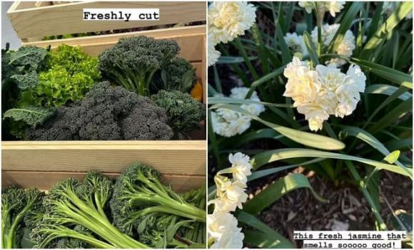 Kim Kardashian khoe khu vuon xa hoa o san sau biet thu-Hinh-3