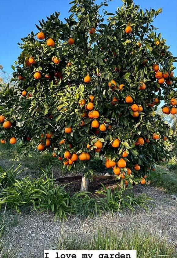 Kim Kardashian khoe khu vuon xa hoa o san sau biet thu-Hinh-2