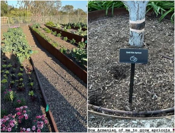 Kim Kardashian khoe khu vuon xa hoa o san sau biet thu-Hinh-4