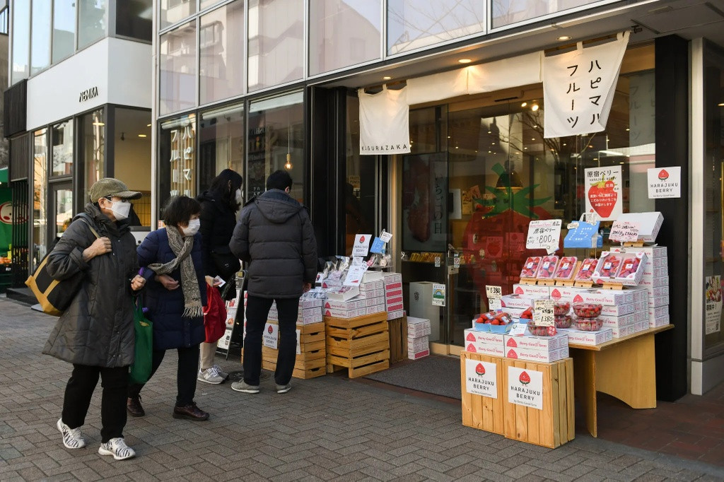 Vì sao Nhật Bản có những loại dâu tây giá 3 triệu đồng/quả? - Hình 2 Vi sao Nhat Ban co nhung loai dau tay gia 3 trieu dong/qua?-Hinh-2