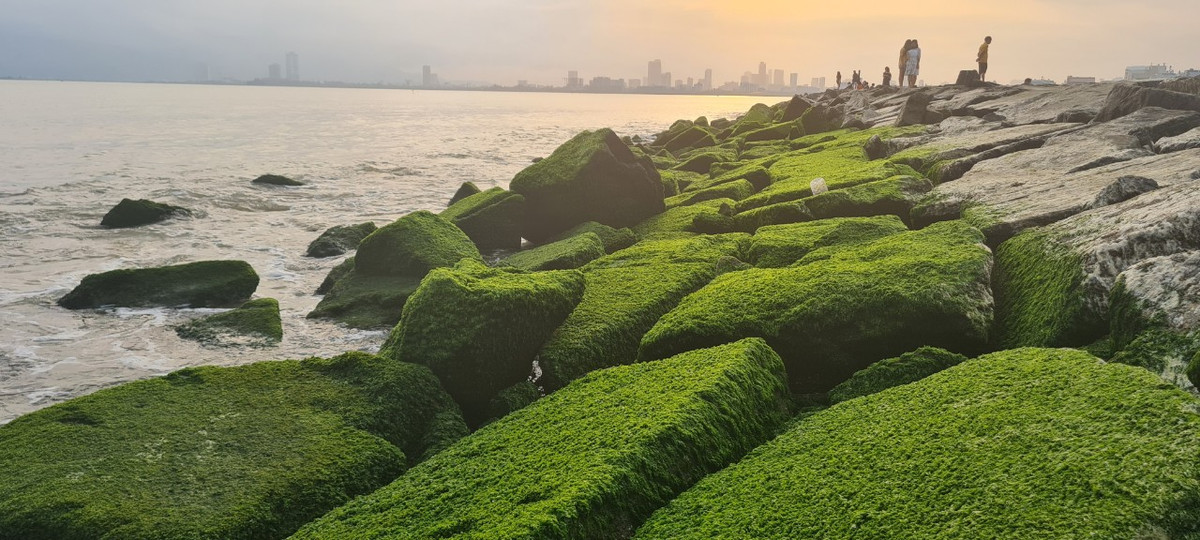 Đến đây vào buổi sáng sớm, du khách còn có dịp chiêm ngưỡng khung cảnh bình minh đẹp khó cưỡng với những tảng đá rêu xanh phủ kín.