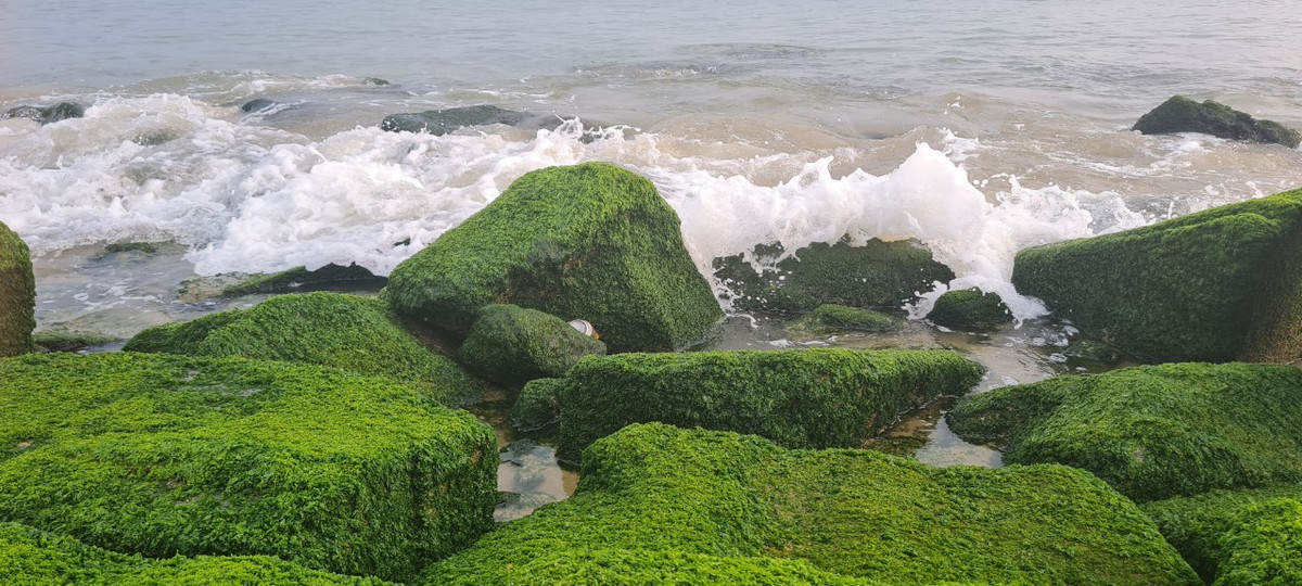Khung cảnh bình yên làm say lòng biết bao du khách...