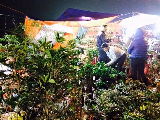 Kinh hoang gia thit bo tuoi dac san cho Vieng-Hinh-3