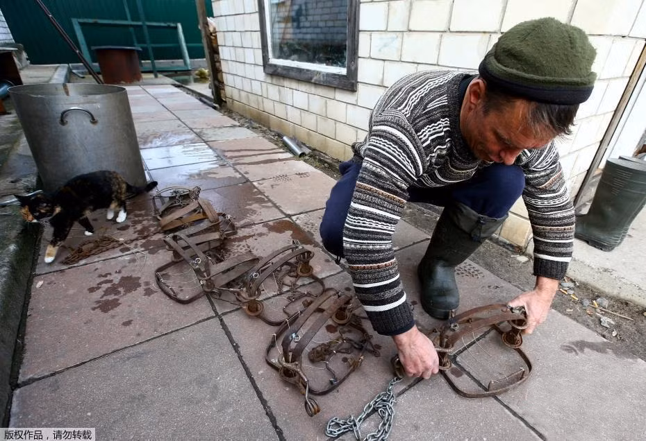 Sau thảm rò rỉ hạt nhân Chernobyl, hàng ngàn km vuông đất bị bỏ hoang, trở thành nơi sinh sống lý tưởng của những con sói hoang dã. Do một thời gian dài vắng bóng con người, bầy sói phát triển nhanh chóng và ngày càng liều lĩnh, tấn công vào các khu dân cư, bắt đi nhiều gia súc, vật nuôi. Không còn cách nào khác, những nông dân địa phương rủ nhau chi tiền để thuê Vladimir, một thợ săn lành nghề đến săn những con sói. (Nguồn Sina)