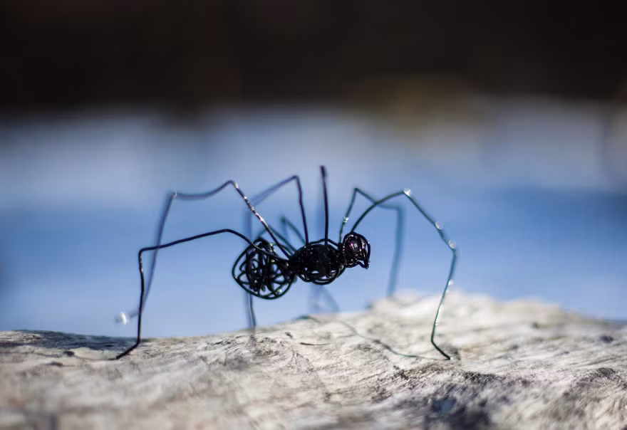 Trong thời gian tới đây, Nevada sẽ nhanh chóng cho ra những tác phẩm mới nhất để chiều lòng người hâm mộ. (Nguồn Bored Panda)