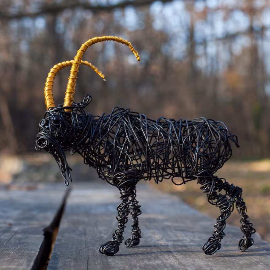 (Nguồn Bored Panda)