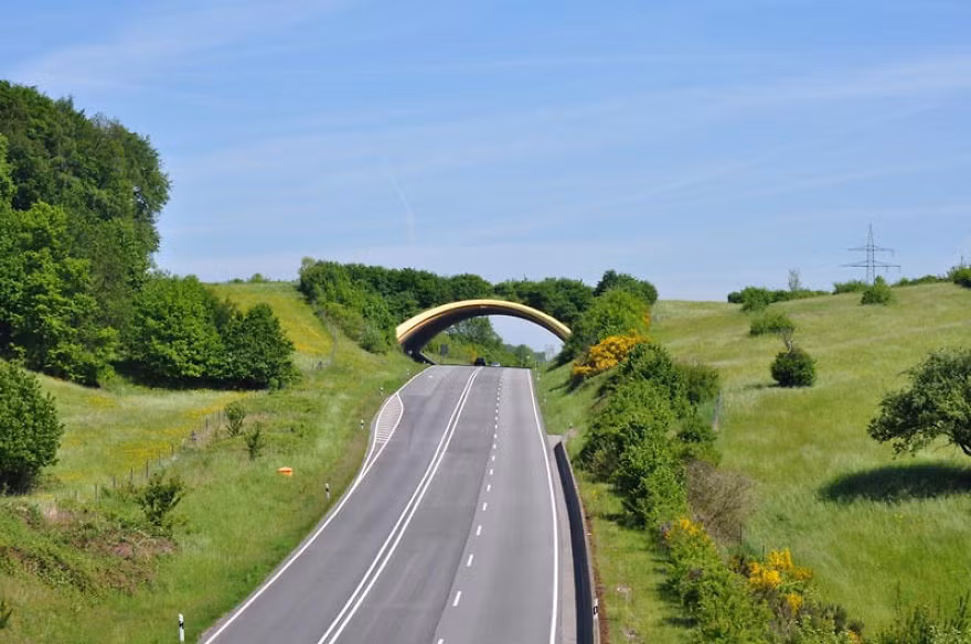 Cầu vượt cho động vật hoang dã tại Đức, tuy nhỏ rất rất hữu ích. (Nguồn Bored Panda)