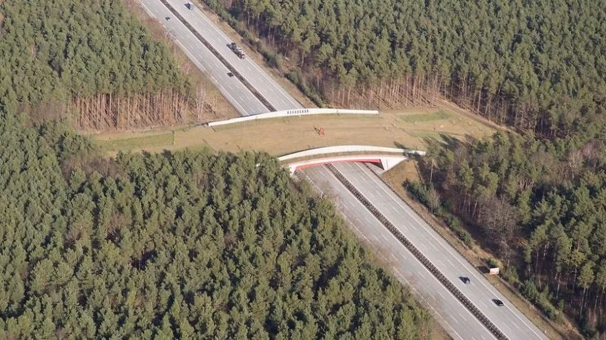 Cây cầu đất dành cho động vật di chuyển từ cánh rừng này sang cánh rừng khác qua đường cao tốc ở Montana. (Nguồn Bored Panda)