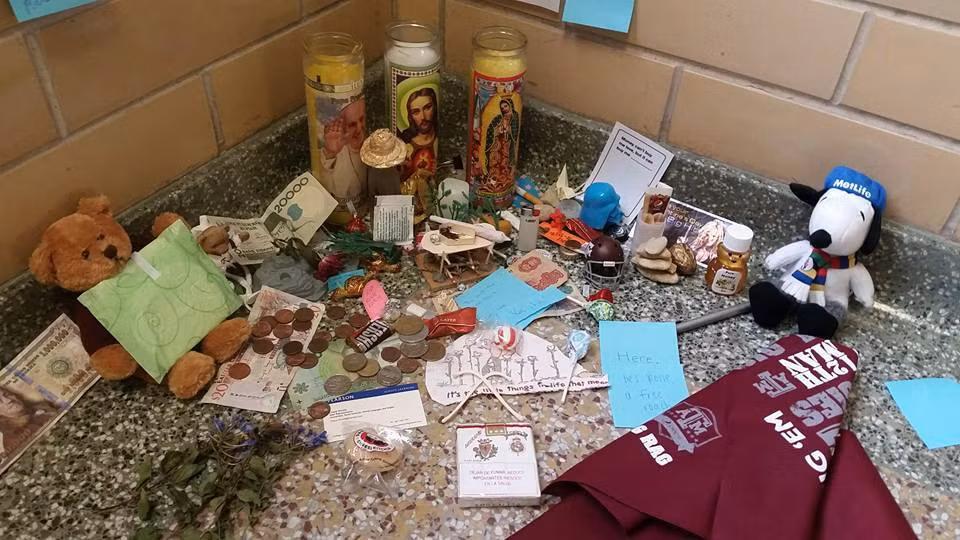 Ngày qua ngày, "ngôi đền" nơi táng thân của gián Rosie trở nên nổi tiếng hơn, nó được lấp đầy với các vật phẩm độc đáo. (Nguồn Brilio)