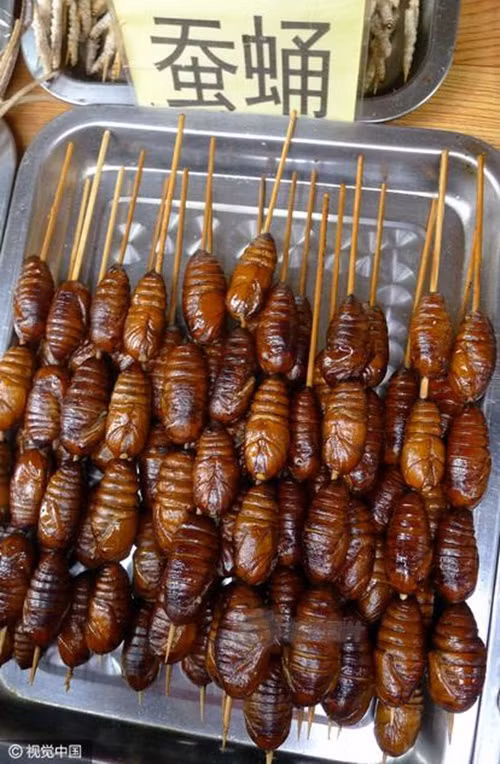 Những con nhộng nướng xiên que cũng được ưa chuộng ở Thanh Đảo. Theo người dân nơi đây, món này ăn rất thơm và có vị béo ngậy khó quên. (Nguồn Sina)