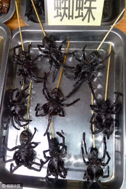 Nhện đen cũng không thoát khỏi số phận, trở thành món ăn vặt cho con người tại nơi đây. (Nguồn Sina)