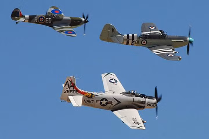 Hãng Fairey đã chế tạo 1.702 chiếc Firefly làm máy bay tiêm kích và trinh sát hải quân xuất phát từ tàu sân bay.