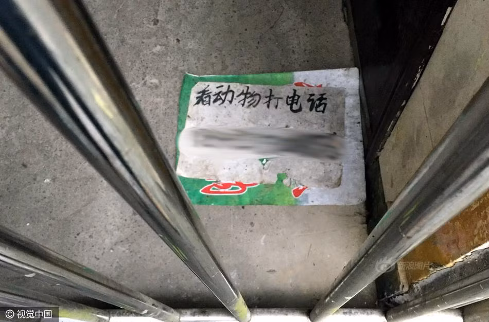 Tại sở thú hoang tàn này ở Trùng Khánh, Trung Quốc, du khách ghé thăm sẽ thấy trên nền đất có mảnh giấy ghi "Muốn xem động vật hoang dã, gọi điện tới số xxx". Tuy nhiên khi người đến thăm gọi một tiếng "Có ai không", một người đàn ông có tên Đàm Đức nhanh chóng chạy ra mở cửa. (Nguồn Sina)