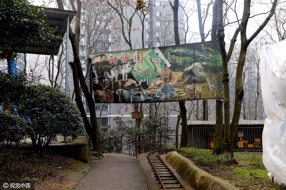 Theo như lời Đàm Đức, mỗi khách tham quan đều phải đóng phí vào cửa mới được vào trong vườn thú. Đàm Đức là ông chủ của nơi đây, vừa là nhân viên chăn nuôi, vừa là nhân viên vệ sinh kiêm bác sĩ thú y, bảo vệ, thu tiền, trông cửa, hướng dẫn viên, kế toán... (Nguồn Sina)