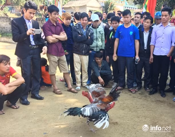 Linh thieng Le khai ha cua nguoi Muong o suoi ca than-Hinh-9