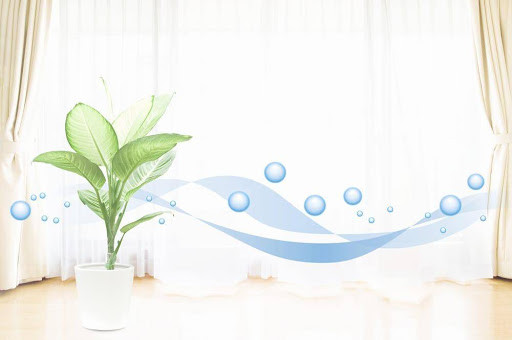 4 cach lam sach khong khi trong nha mua dich