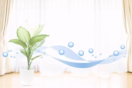 4 cách làm sạch không khí trong nhà mùa dịch 4 cach lam sach khong khi trong nha mua dich