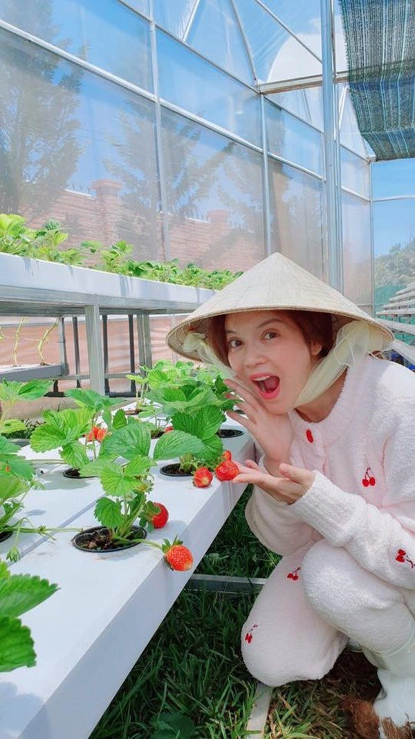 Theo chia sẻ của cựu diễn viên thì resort có diện tích là 7.000m2 nằm trên một ngọn đồi ở Đà Lạt gồm 16 căn villa riêng biệt, mỗi phòng đều có vườn hoa riêng, có nhà hàng và siêu thị 24/24.