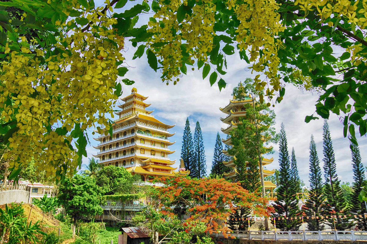 Theo quy hoạch và định hướng phát triển du lịch của tỉnh An Giang, khu du lịch Núi Cấm được định hướng thành khu du lịch hành hương, nghỉ dưỡng và du lịch sinh thái nhằm mang đến cho du khách những trải nghiệm mới mẻ, hấp dẫn và thú vị.