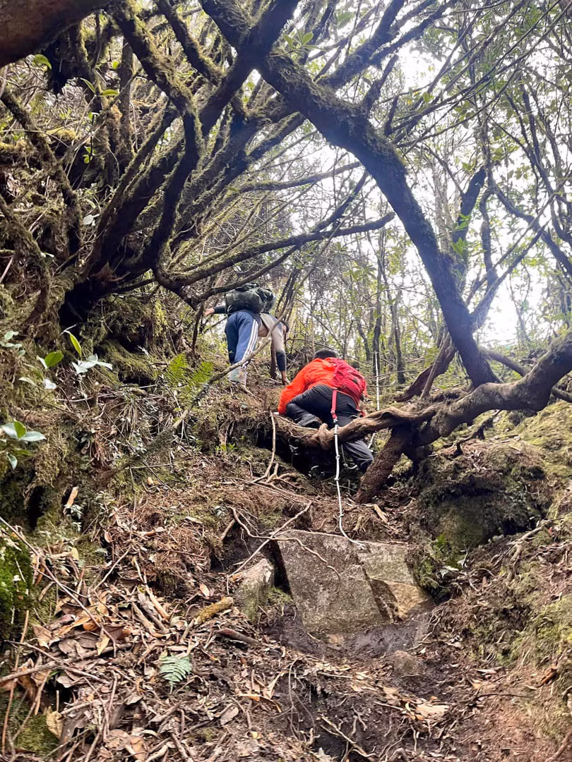 Nguoi me Ha Noi dua 2 con leo nui, chinh phuc cac dinh cao-Hinh-7
