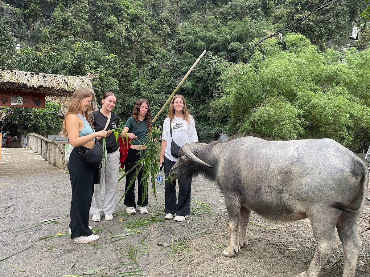 Nhieu hoat dong hap dan trong tour du lich cong dong o Ninh Binh-Hinh-4