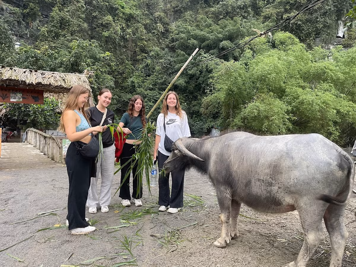 Nhieu hoat dong hap dan trong tour du lich cong dong o Ninh Binh-Hinh-4