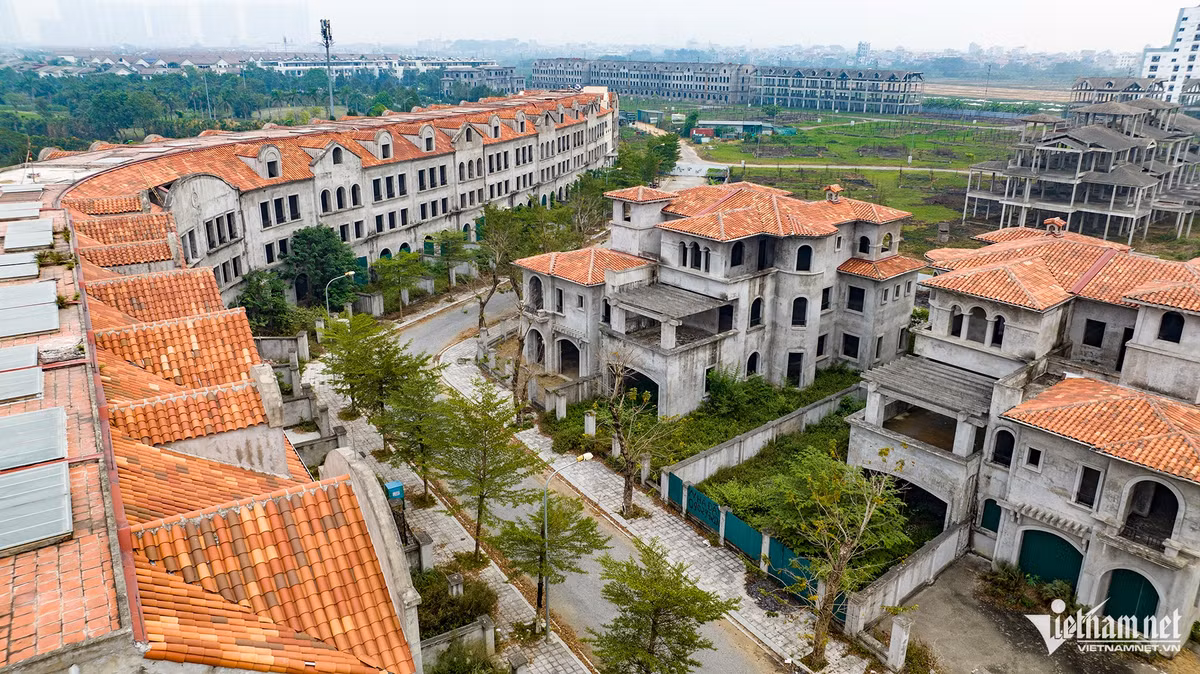 Ha Noi: Hang chuc biet thu bo hoang lam noi trong rau, nuoi ca-Hinh-3