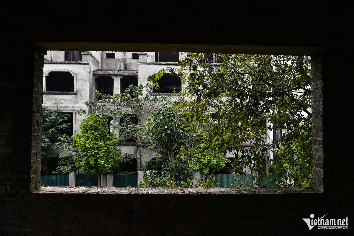 Ha Noi: Hang chuc biet thu bo hoang lam noi trong rau, nuoi ca-Hinh-10