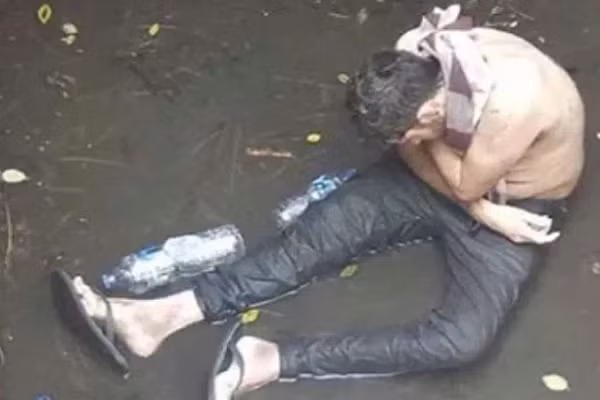 Song sot than ky sau 6 ngay roi xuong ho sau vi cho duoi