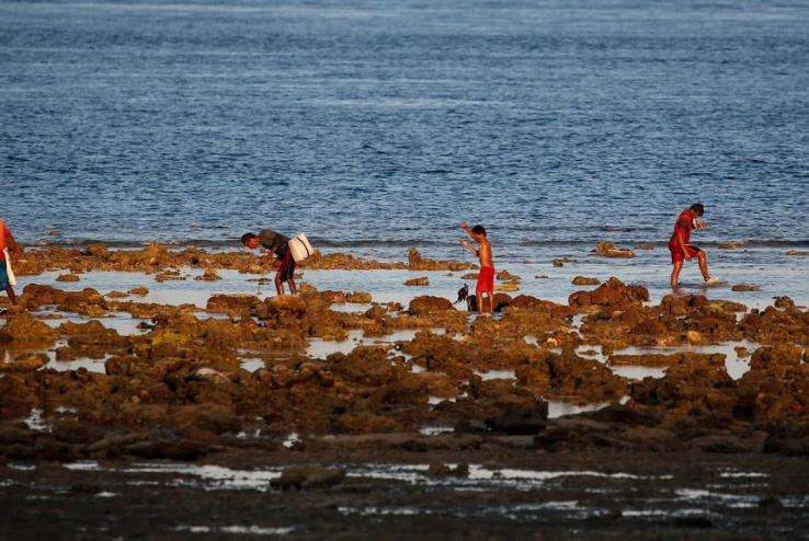 "Những con ngựa dễ bị bệnh. Chúng không có gì trong bụng. Năm nào cũng có nhiều con vật chết vì đói", Ndaha cho hay.