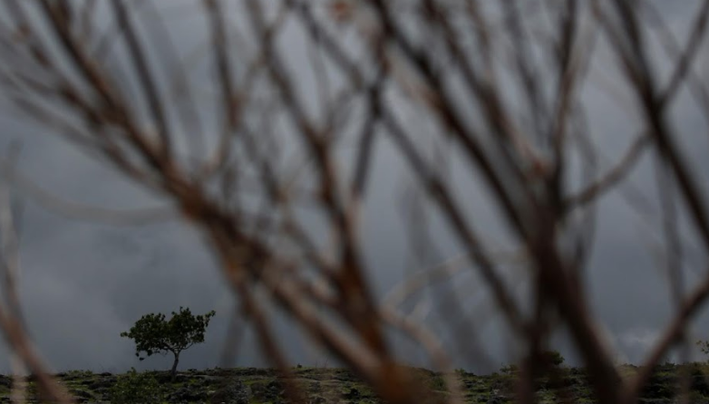 Đảo Sumba ở Đông Nusa Tenggara - tỉnh nghèo thứ ba của Indonesia và cũng là khu vực khô hạn nhất. "Nền nhiệt gia tăng ở Indonesia là bằng chứng cho thấy sự nóng lên toàn cầu" Supari, một quan chức, cho biết và nhấn mạnh rằng Sumba là một trong những khu vực dễ bị tổn thương nhất.