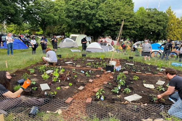 Mọi người làm việc trong một khu vườn của "khu tự trị Capitol Hill" ngày 11/6.
